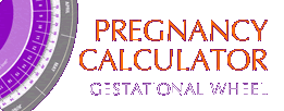 Pregnancy Calculator
