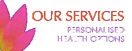 Our Services